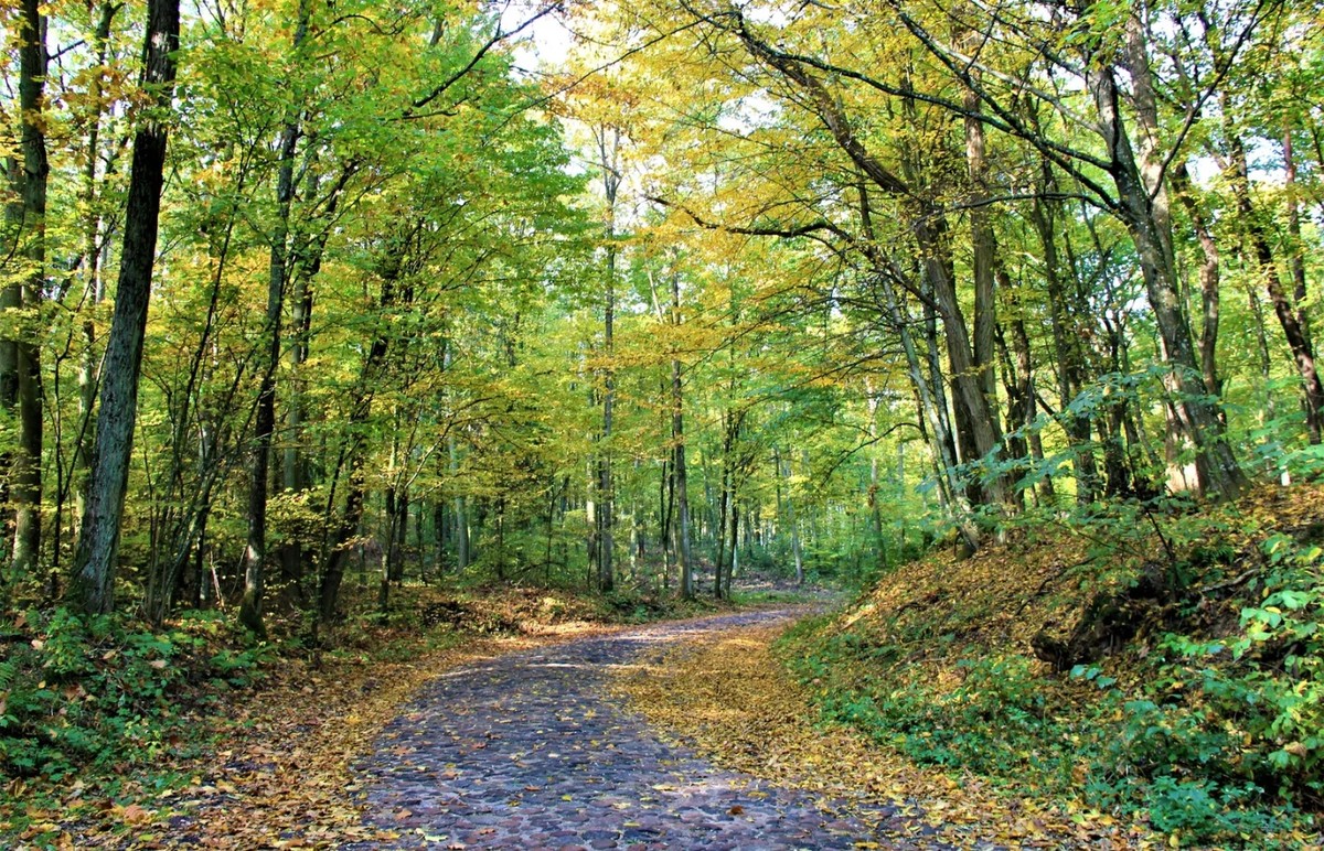 Odkryj Górznieńsko-Lidzbarski Park Krajobrazowy z ESKAPADĄ (fot. GLPK)