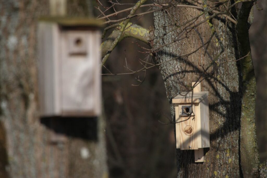 Budki typu A (fot. Krzysztof Pokrętowski)