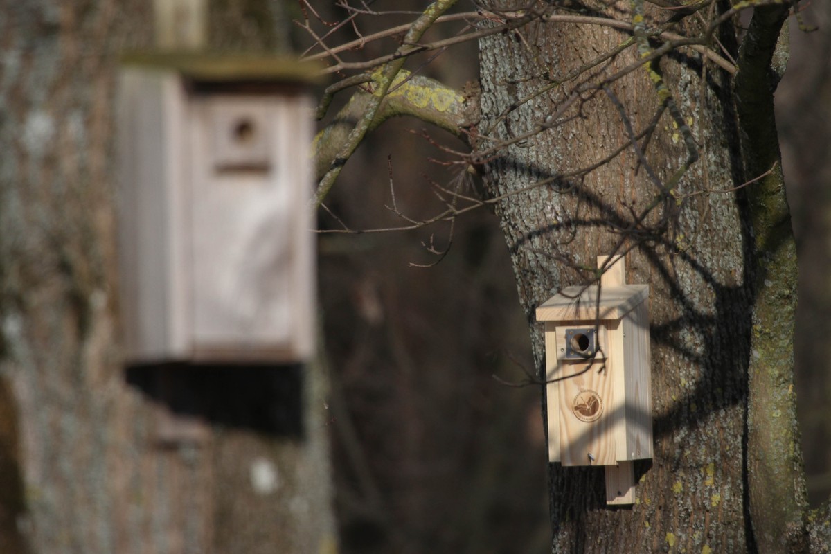 Budki typu A (fot. Krzysztof Pokrętowski)