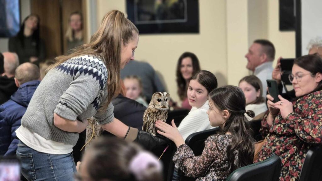 Pokaz żywych sów, fot. Piotr Szumigaj