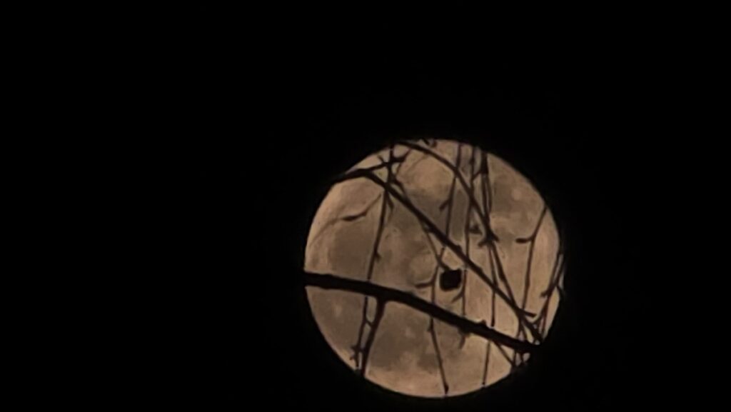 Księżyc zawieszony na nocnym niebie nad Jeziorem Mukrza, fot. Daniel Siewert