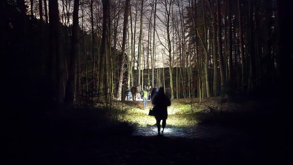 Leśna wędrówka, fot. Daniel Siewert