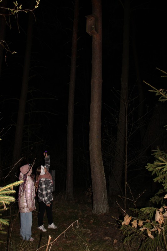 Poszukiwanie sów fot. R. Borzyszkowski