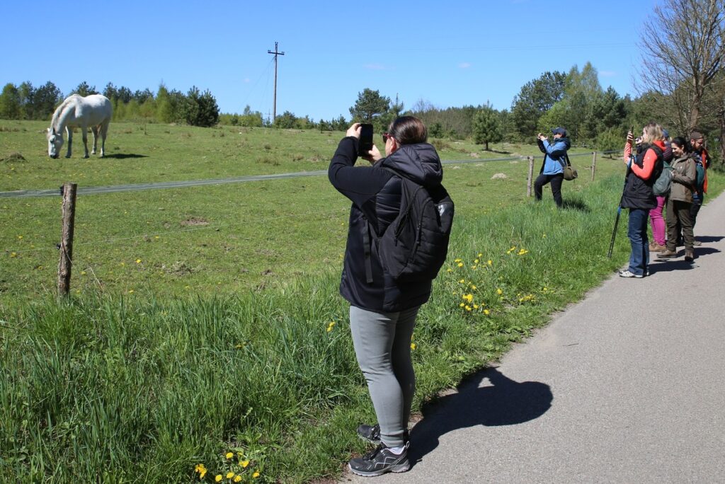 Eskapada 2025 Fot. D. Borzyszkowska