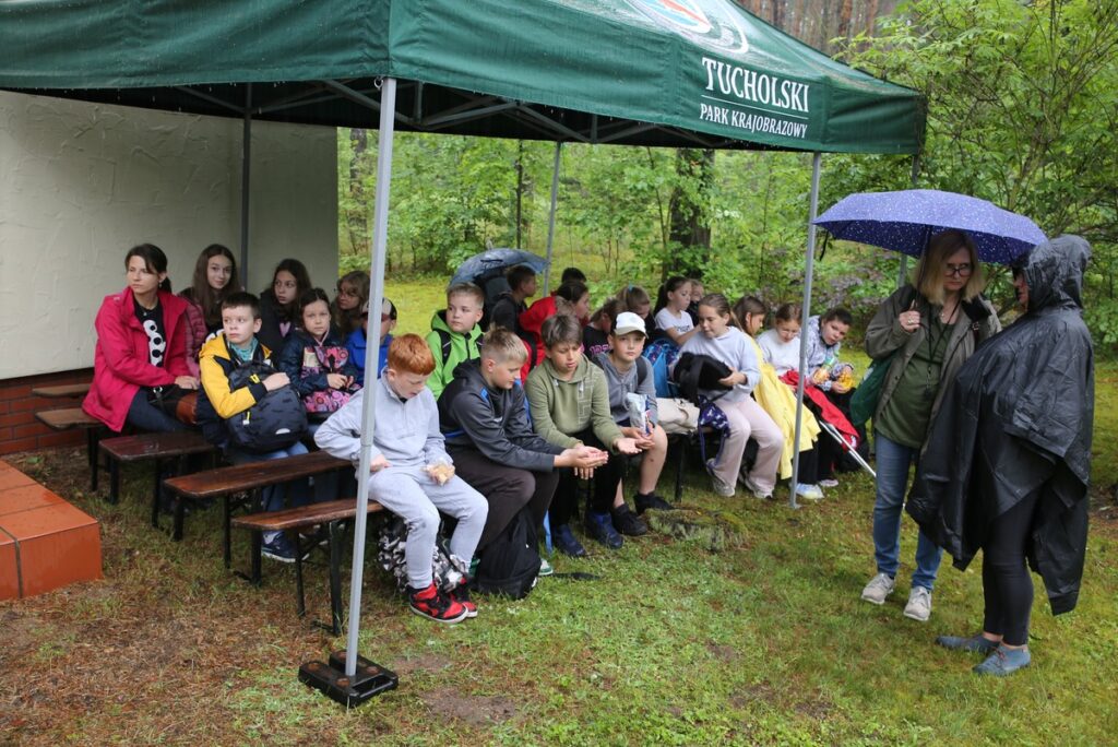 Konkurs Przyroda wokół nas, fot. R.Borzyszkowski