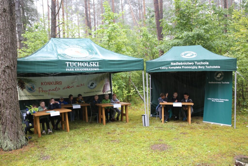 Konkurs Przyroda wokół nas, fot. R.Borzyszkowski