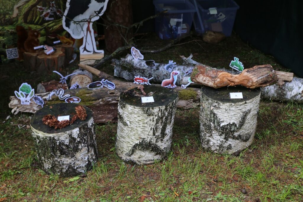 Konkurs Przyroda wokół nas, fot. R.Borzyszkowski