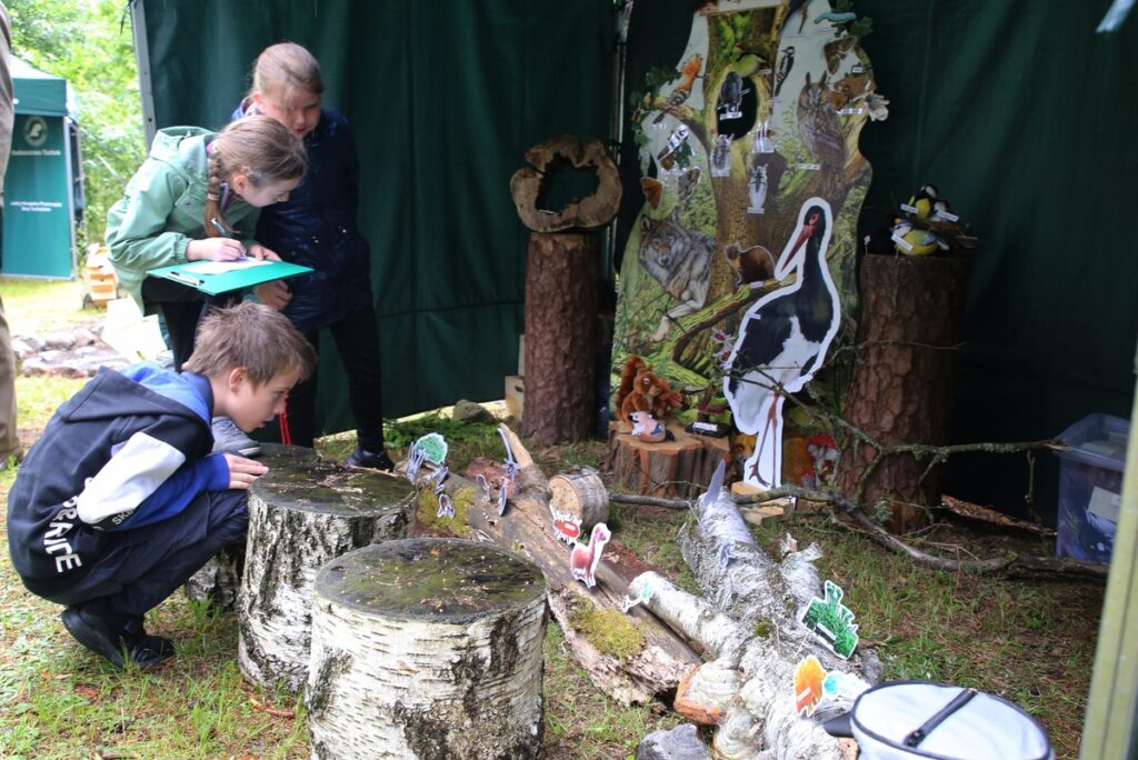 Konkurs Przyroda wokół nas, fot. R.Borzyszkowski