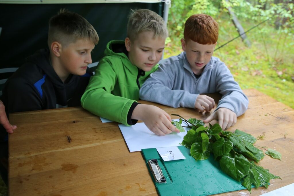 Konkurs Przyroda wokół nas, fot. R.Borzyszkowski