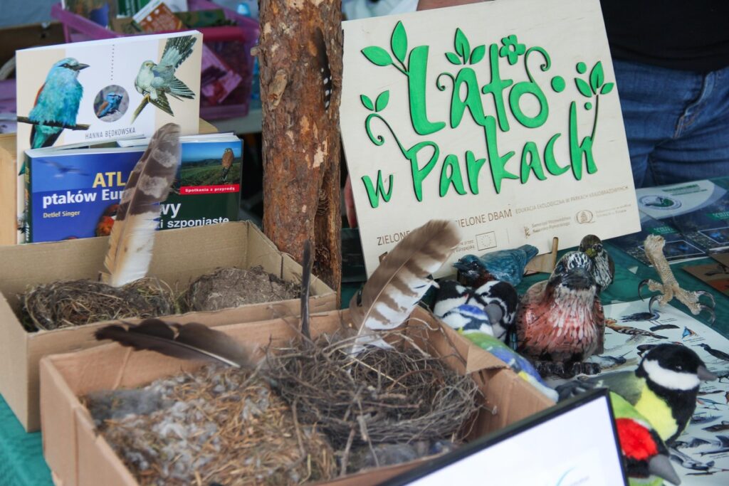 Lato w Parku (fot. GLPK)