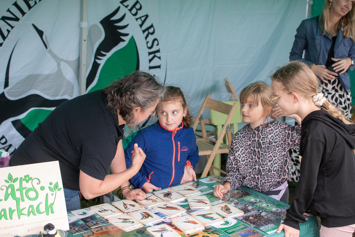 Lato w Parku (fot. GLPK)