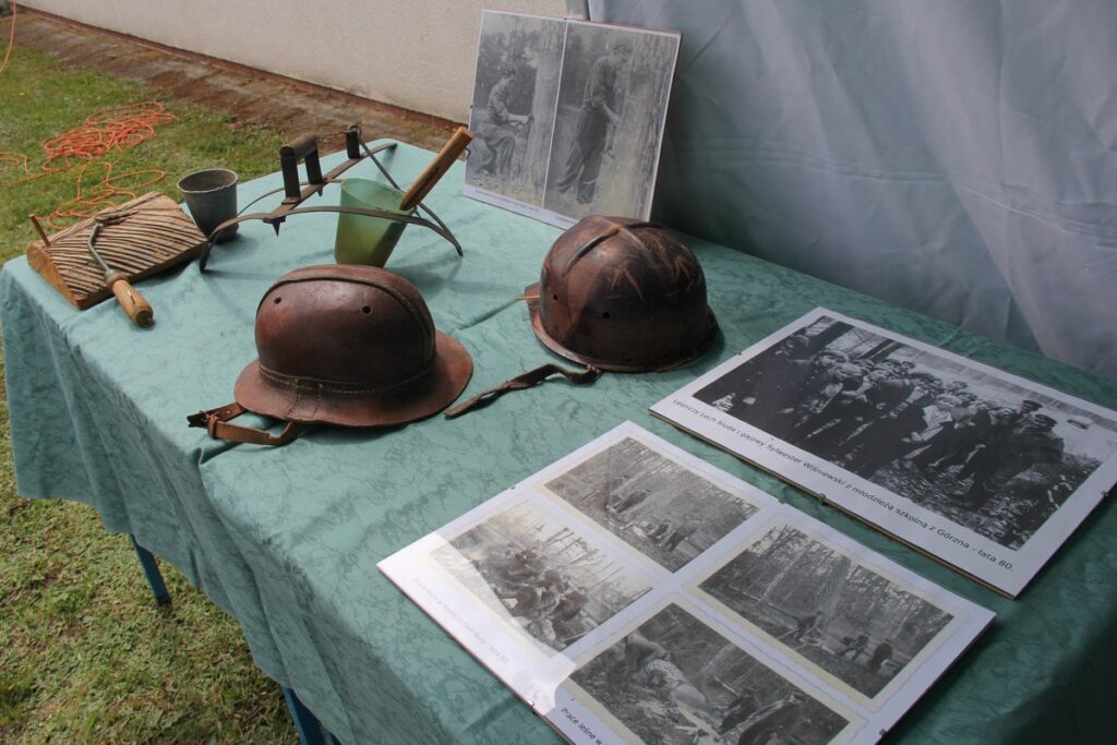 Lato w Parku (fot. GLPK)