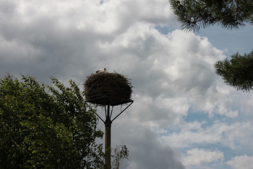 warsztaty dwudniowe fot. D. Borzyszkowska