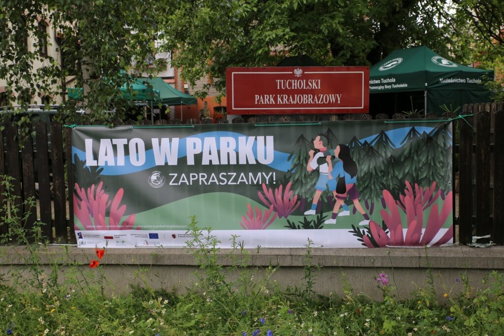 Lato w Parku fot. Rafał Borzyszkowski