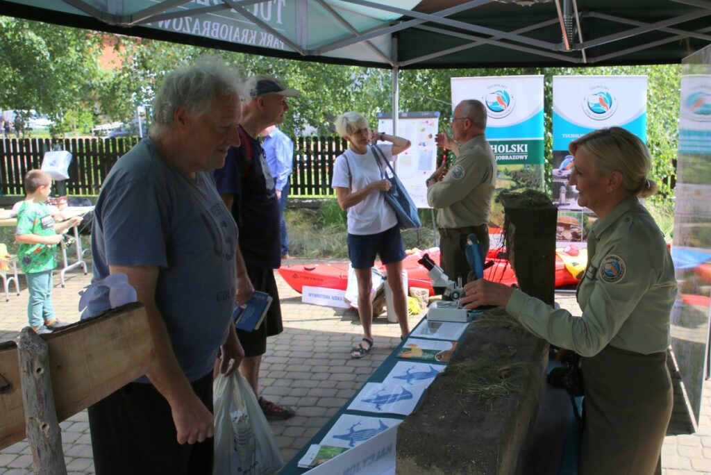 Lato w Parku fot. Rafał Borzyszkowski