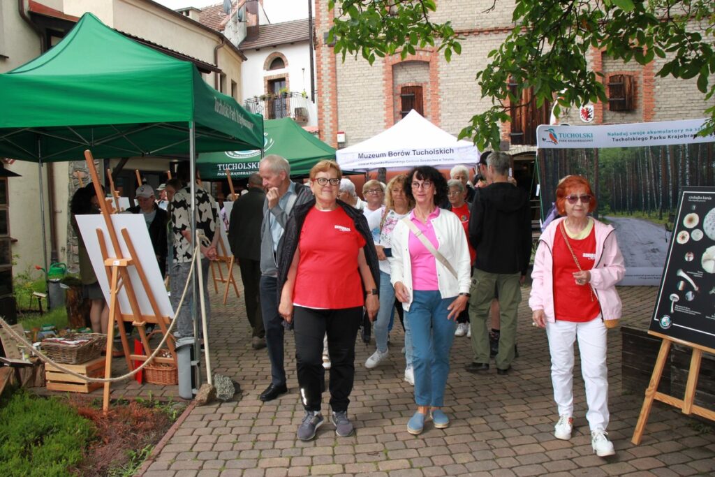 Lato w Parku fot. Dorota Borzyszkowska