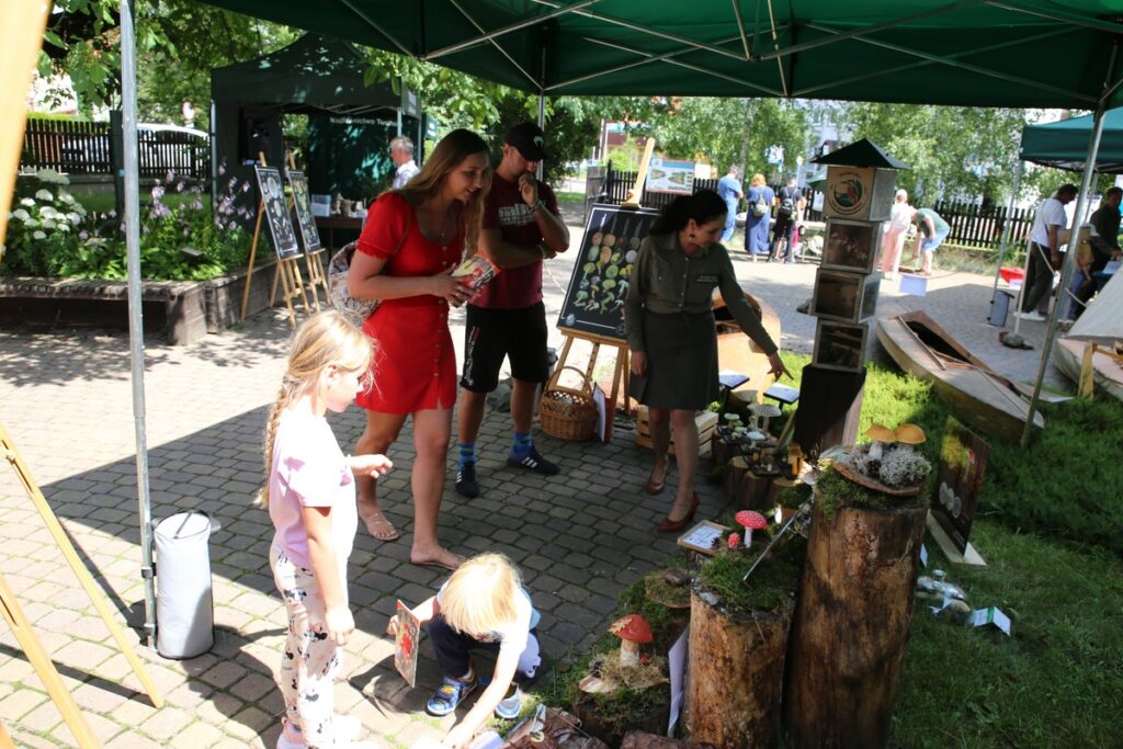 Lato w Parku fot. Dorota Borzyszkowska
