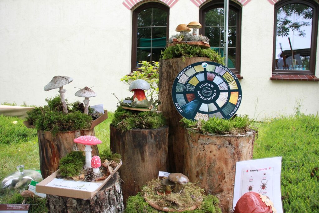 Lato w Parku fot. Dorota Borzyszkowska