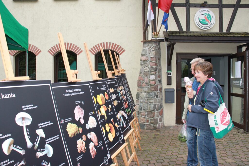 Lato w Parku fot. Dorota Borzyszkowska