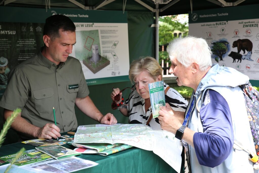 Lato w Parku fot. Dorota Borzyszkowska