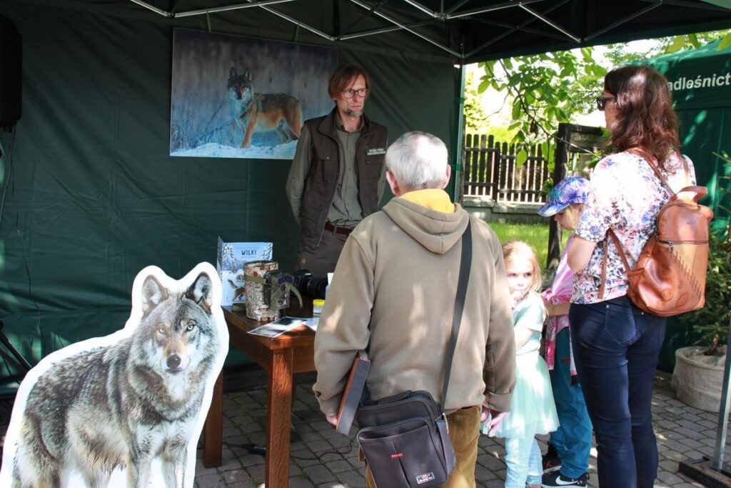Lato w Parku fot. Dorota Borzyszkowska
