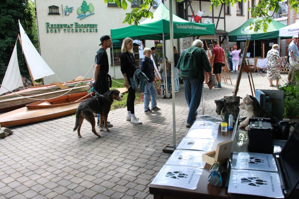 Lato w Parku fot. Dorota Borzyszkowska
