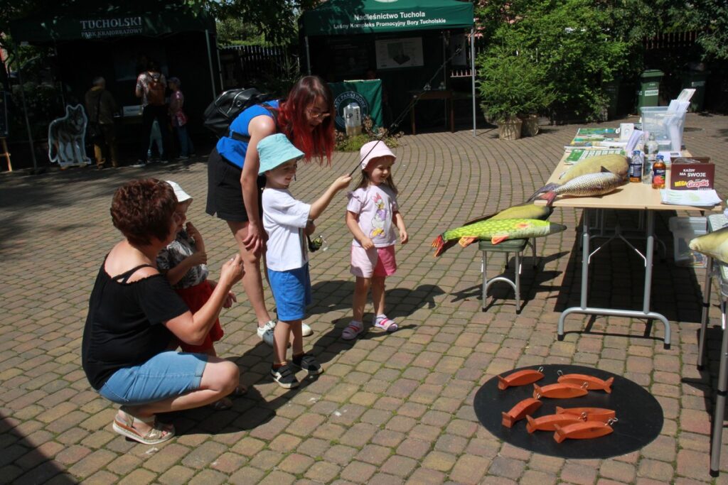 Lato w Parku fot. Dorota Borzyszkowska