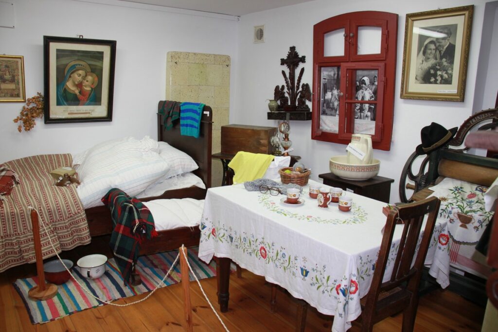 Lato w Parku fot. Dorota Borzyszkowska