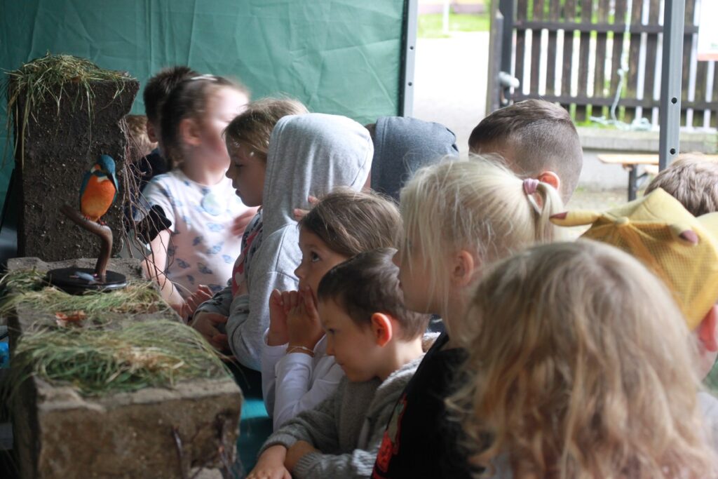 Dzień Parków Krajobrazowych, fot. M. Kaczmarek