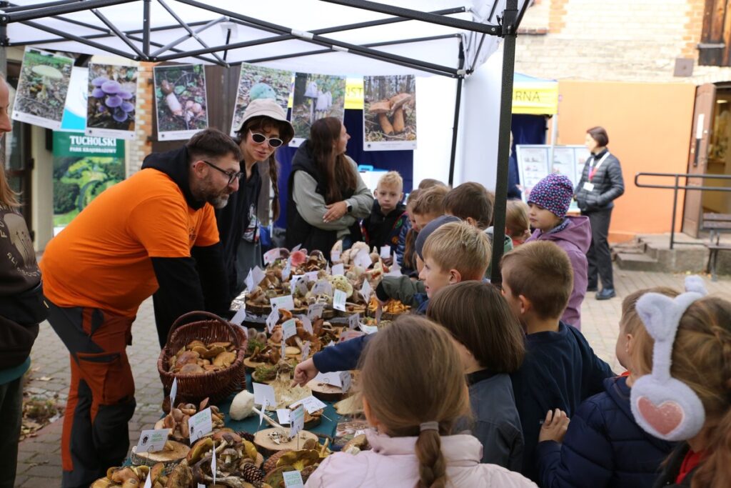 Członkowie Stowarzyszenia Fungarium edukują o grzybach, fot. Rafał Borzyszkowski