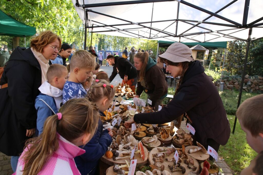 Członkowie Stowarzyszenia Fungarium podczas grzybowej edukacji, fot. Rafał Borzyszkowski