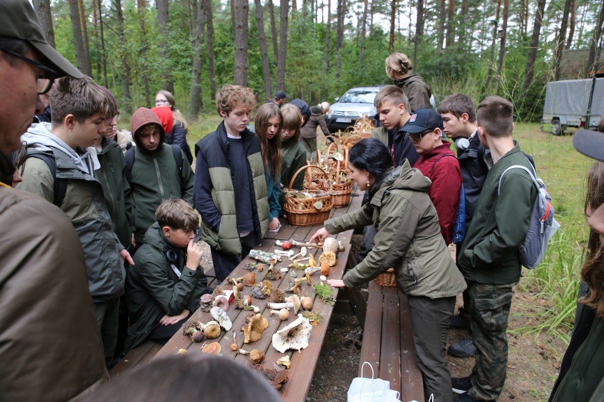 Omówienie zebranych gatunków grzybów, fot. Dorota Borzyszkowska