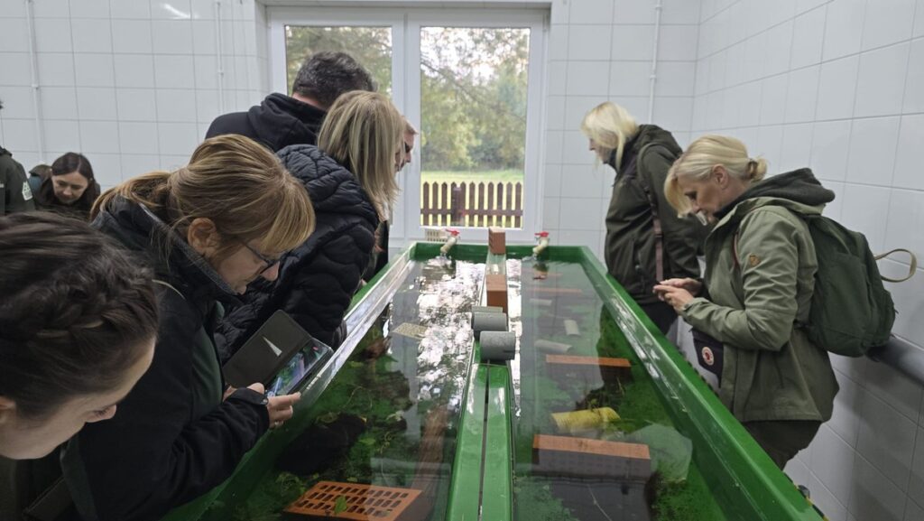 Wylęgarnia raków w Augustowie, fot. Emilia Gołąb