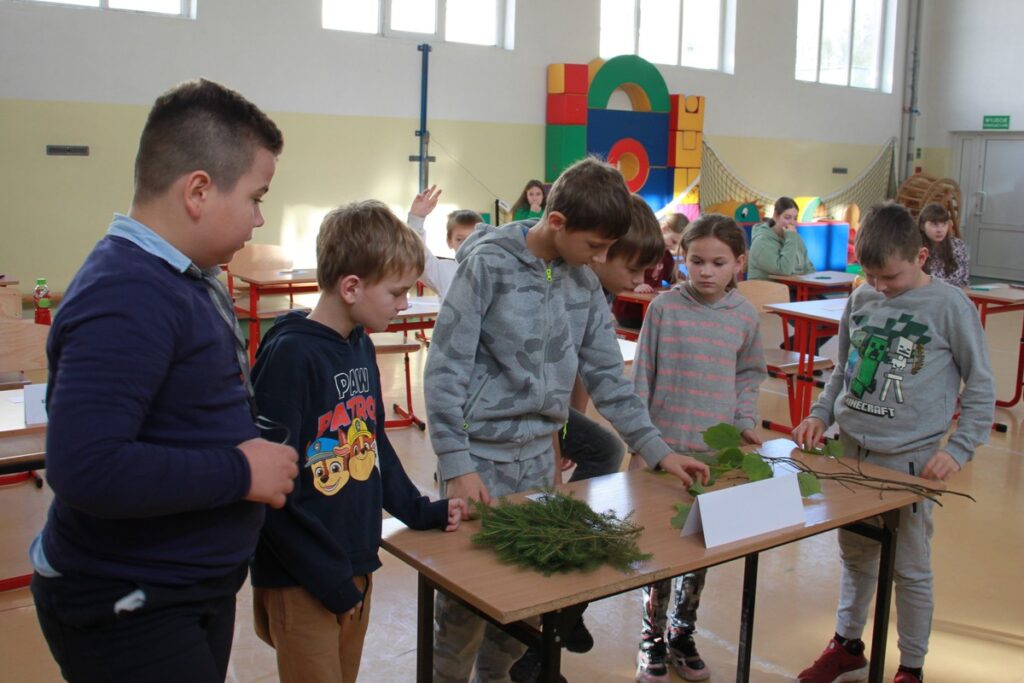 konkurencja rozpoznawania drzew, fot. M. Kaczmarek