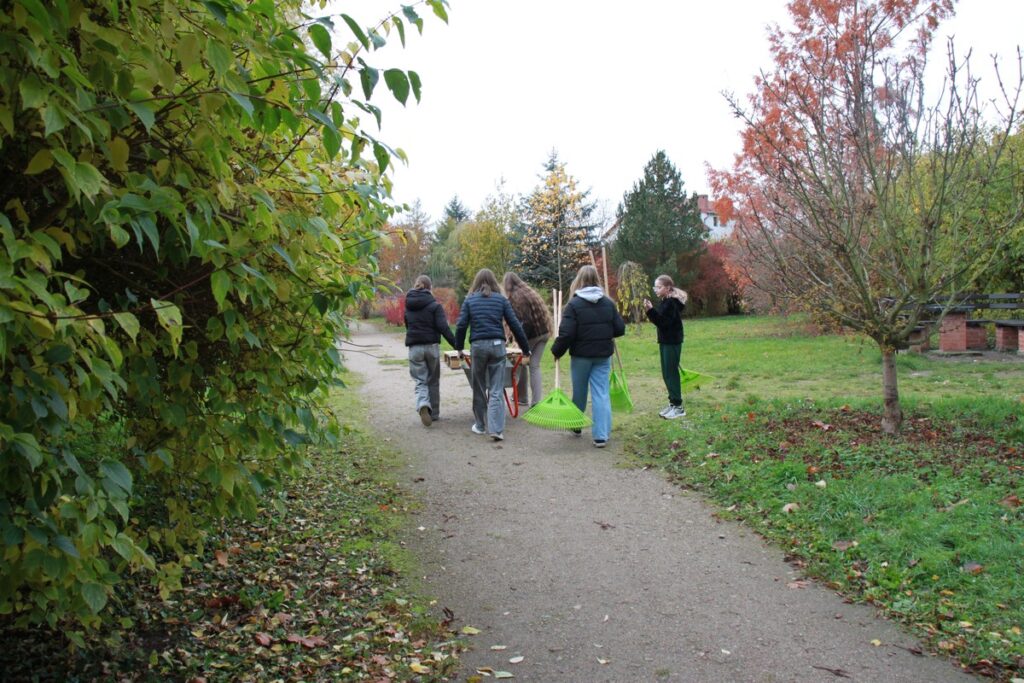 Azyle dla jeży w miejskich parkach (fot. B. Grzesiak)