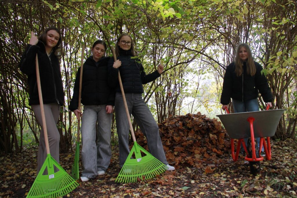 Azyle dla jeży w miejskich parkach (fot. M. Kaczmarek)