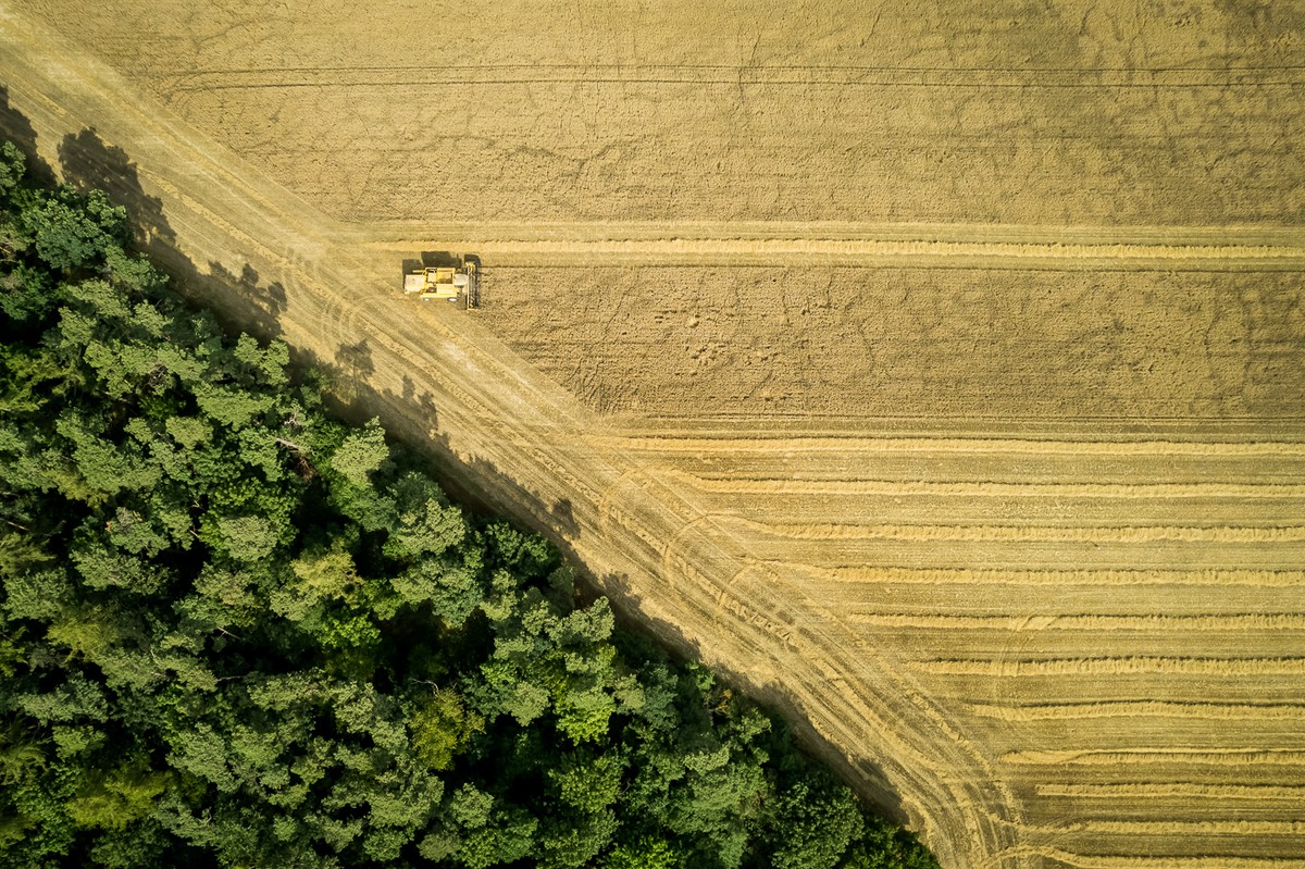 Fot. Tomasz Czachorowski/eventphoto dla UMWKP