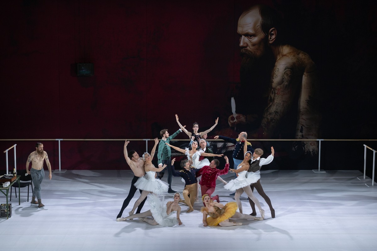 Black Swan, photo by Janis Deinats