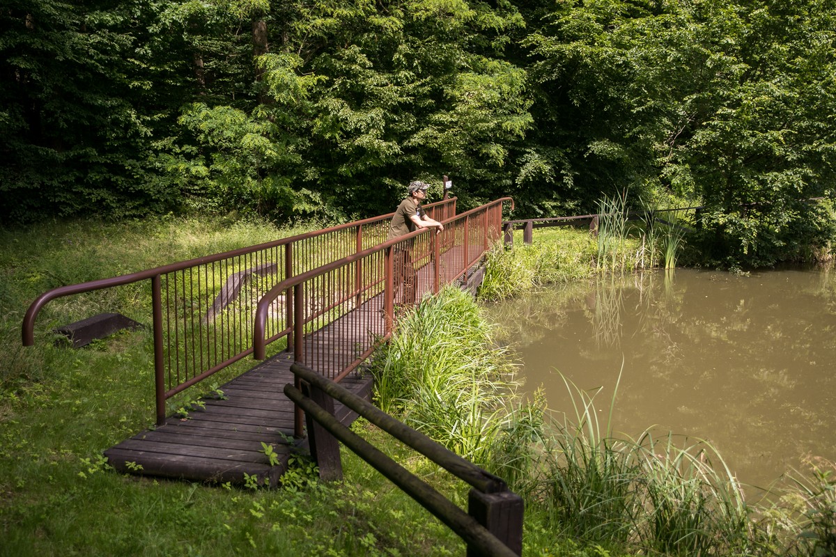 “Szumny Zdrój” Nature Reserve in the Górznieńsko-Lidzbarski Landscape Park, photo by Andrzej Goiński/ UMWKP