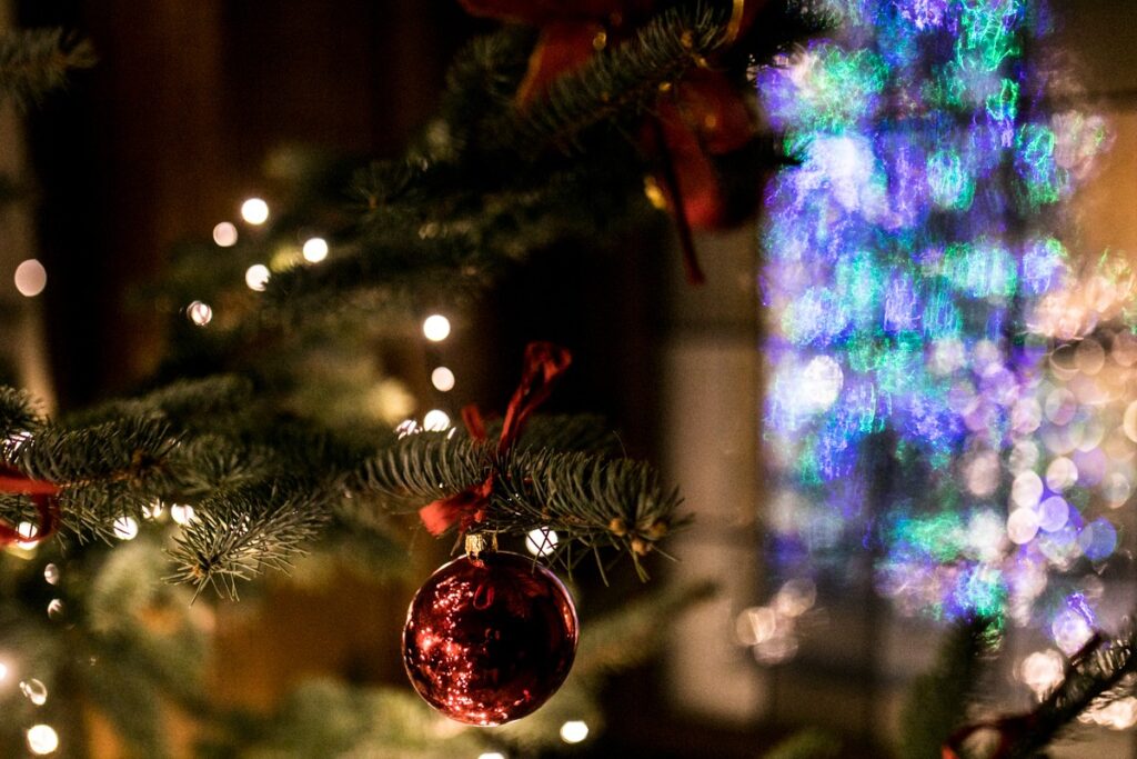 fot. Andrzej Goiński/UMWKP