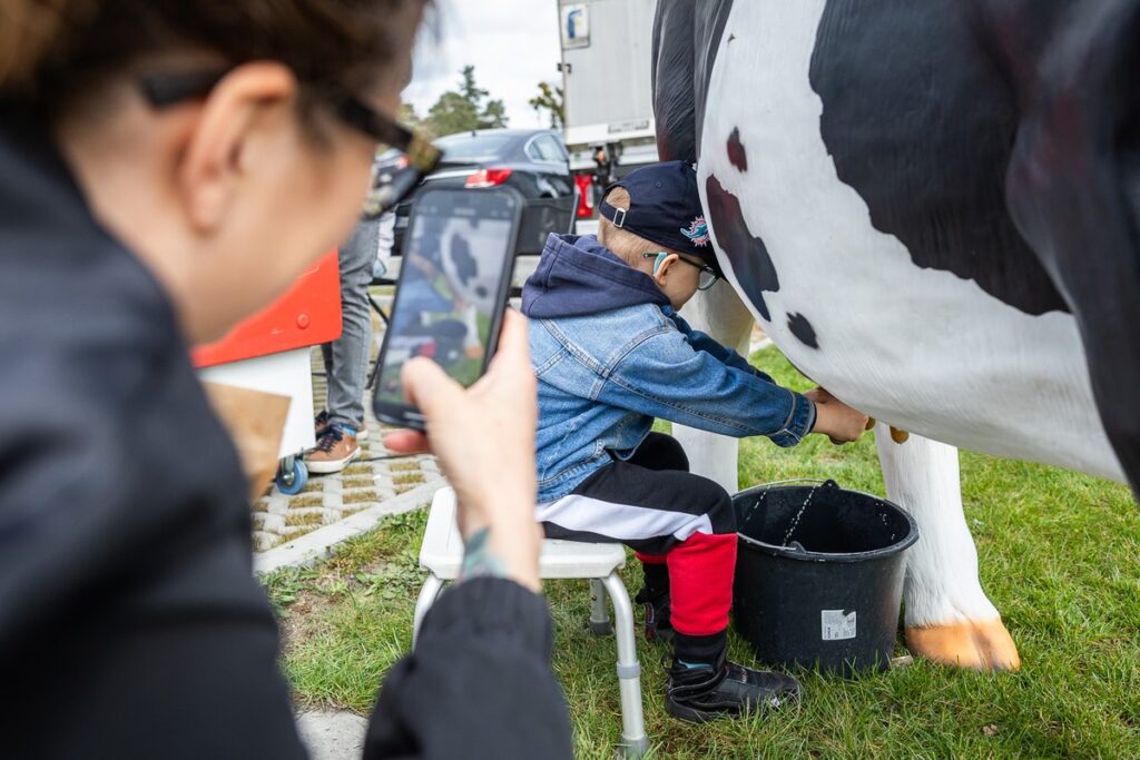 Jarmark świąteczny w Przysieku, fot. Szymon Zdziebło/tarantoga.pl dla UMWKP Easter fair in Przysiek, photo Szymon Zdziebło/tarantoga.pl for UMWKP
