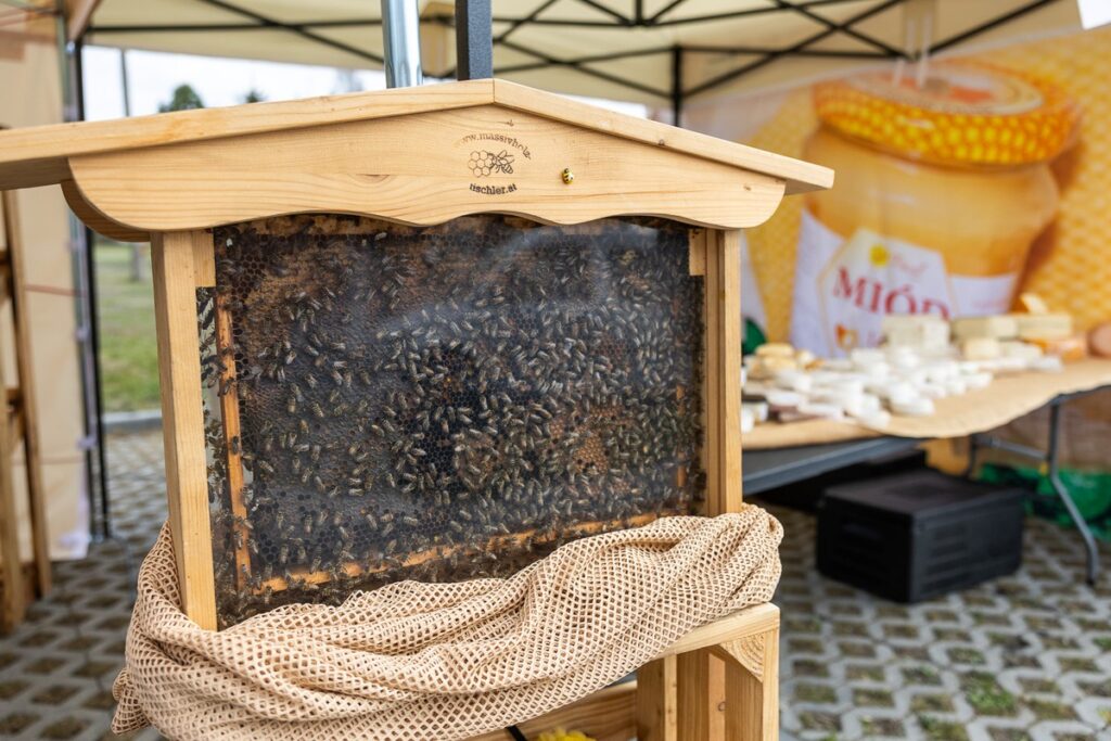 Jarmark świąteczny w Przysieku, fot. Szymon Zdziebło/tarantoga.pl dla UMWKP Easter fair in Przysiek, photo Szymon Zdziebło/tarantoga.pl for UMWKP