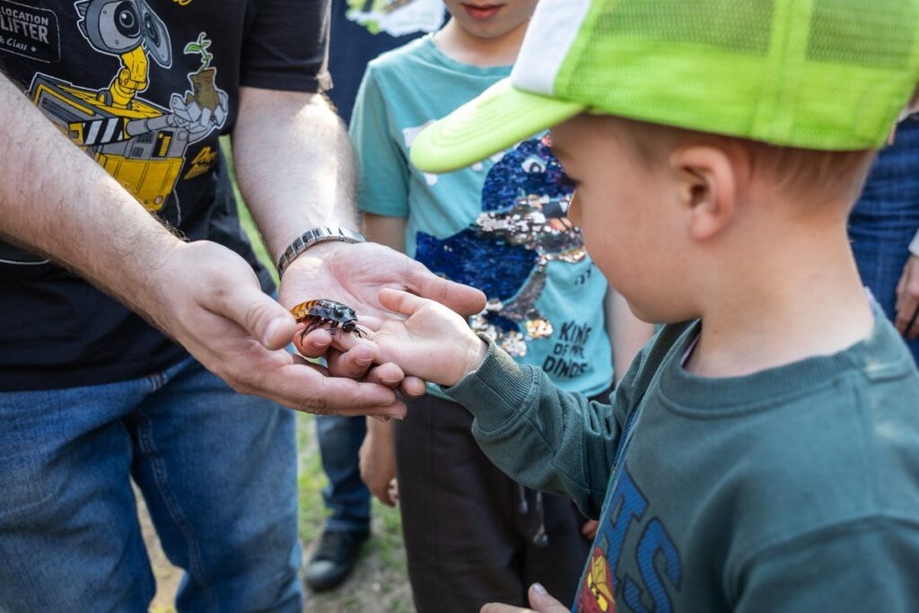 Earth Day at Barbarka, photo by Szymon Zdziebło / tarantoga.pl for UMWKP