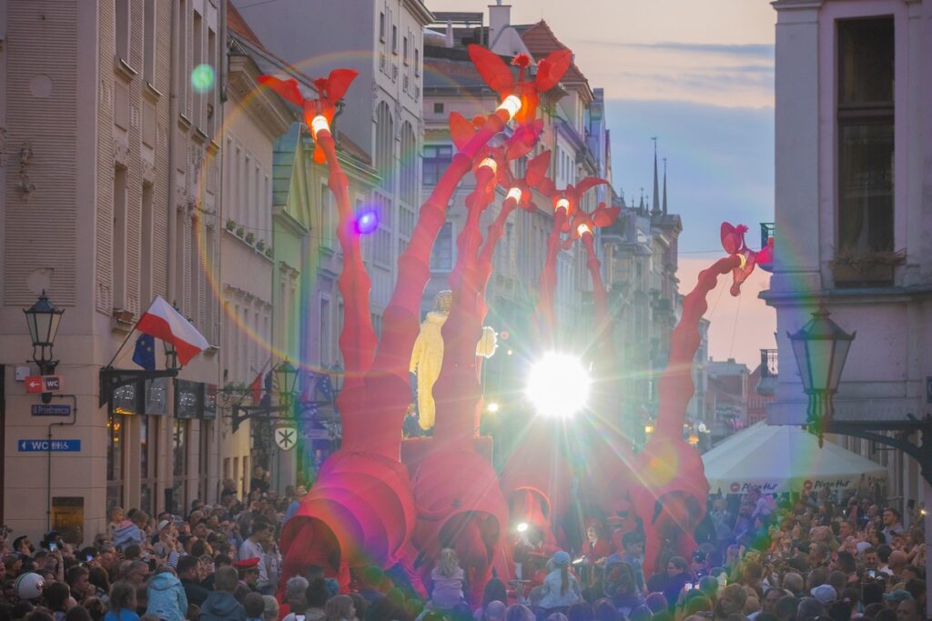 Festiwal Teatrów Ulicznych, „Les Girafes”, Mikołaj Kuras dla UMWKP