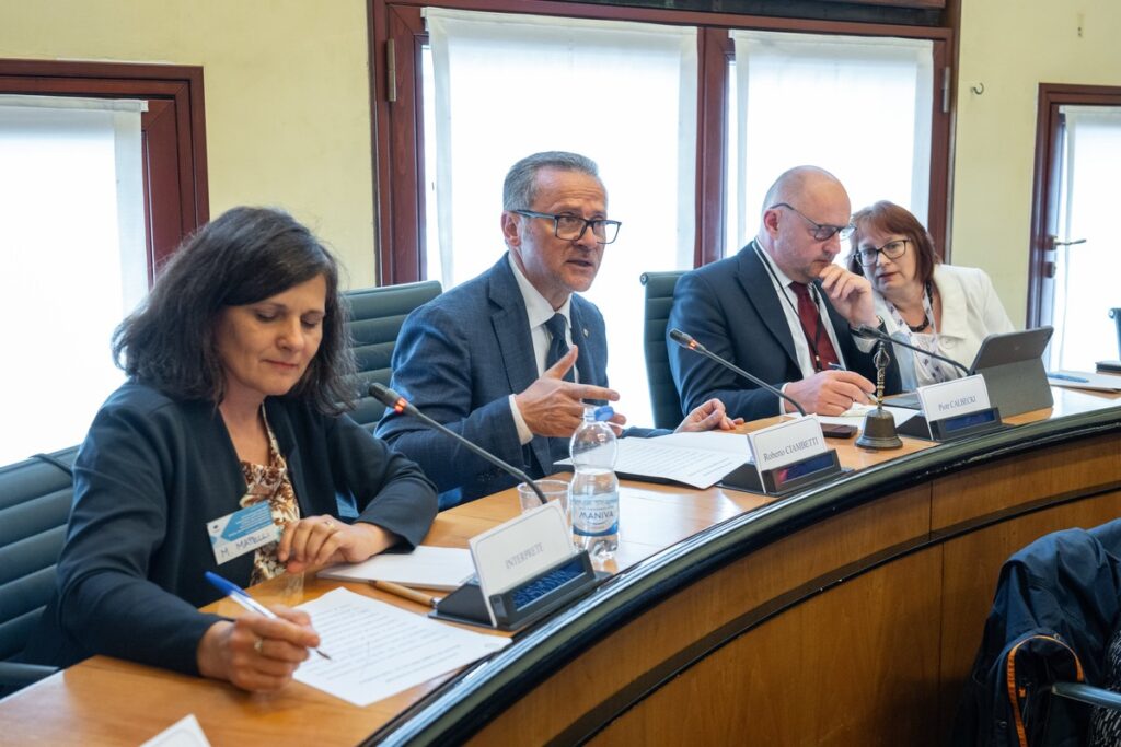 Posiedzenie Komisji NAT, fot. Europejski Komitet Regionów