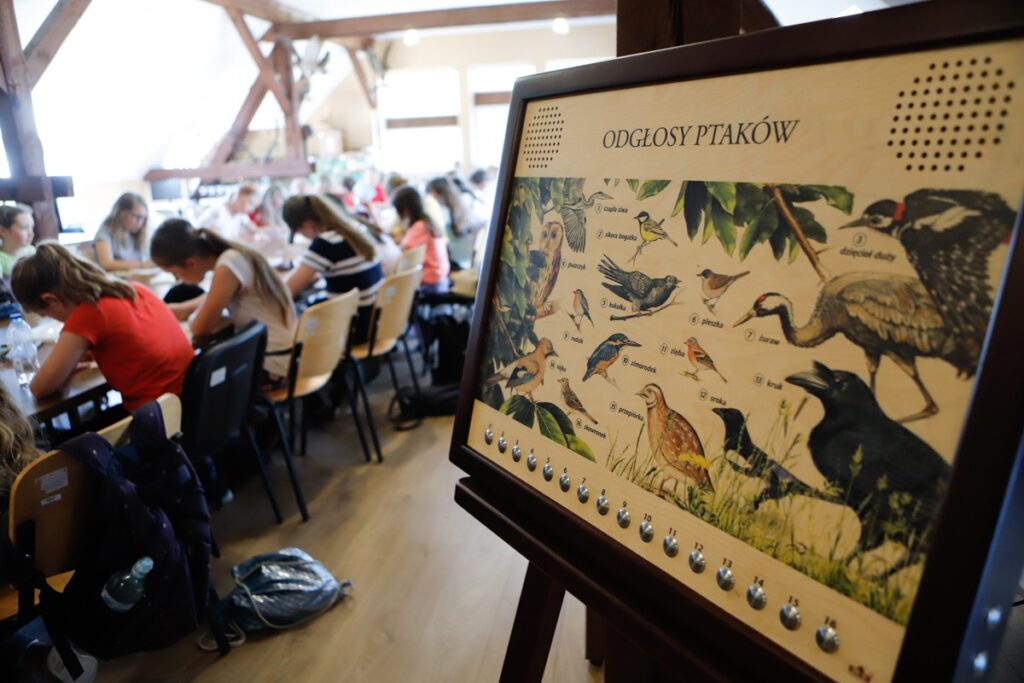 Baza Edukacyjna w Gorzniensko-Lidzbarskim Parku Krajobrazowym Fot. Mikołaj Kuras dla UMWKP