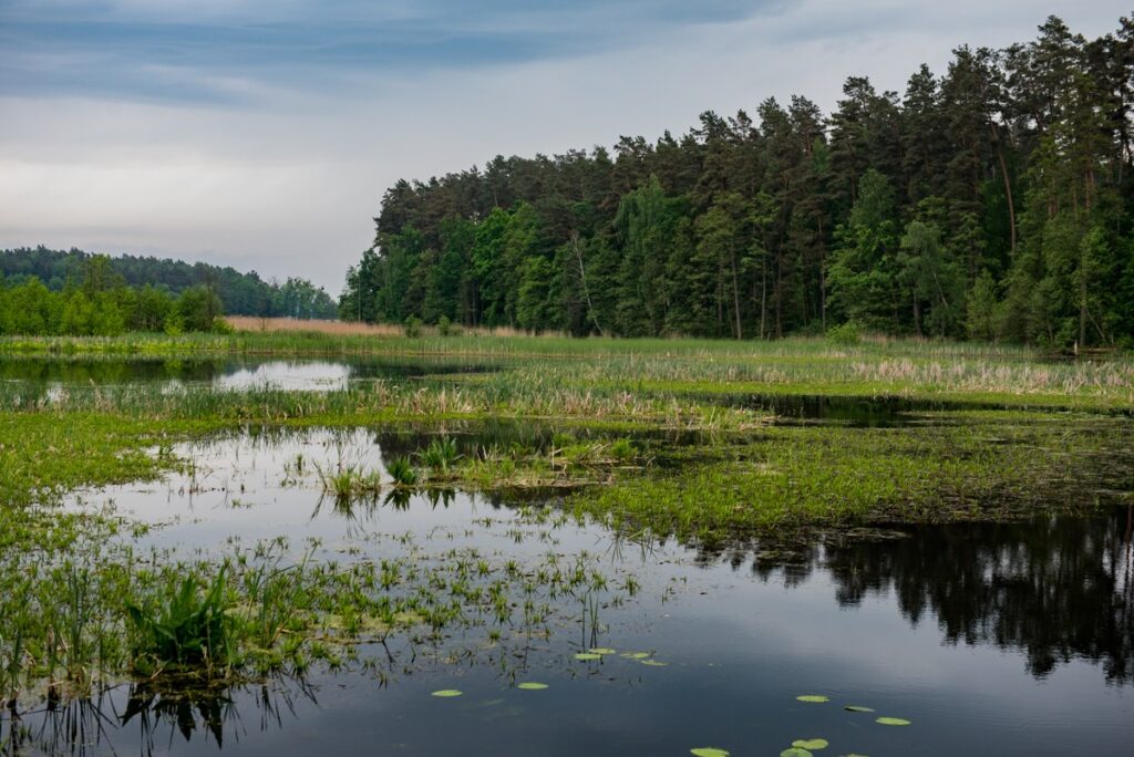 Brodnicki Park Krajobrazowy, fot. Andrzej Goiński UMWKP