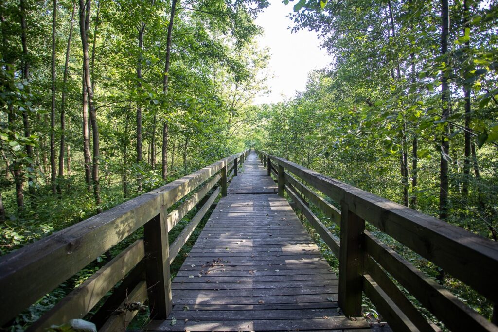 Gostyninsko Włoclawski Park Krajobrazowy, fot Mikołaj Kuras dla UMWKP
