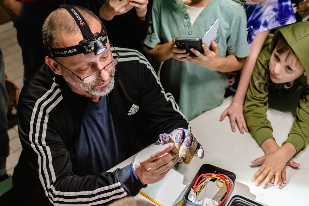 Noc nietoperzy w GLPK (fot. GLPK)