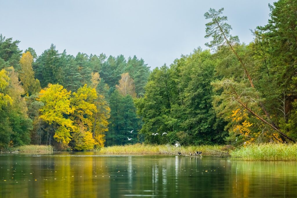 Wdecki Park Krajobrazowy, fot. Tomasz Czachorowski/eventphoto.com.pl dla UMWKP